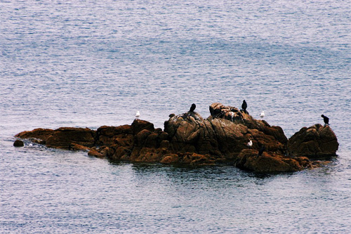 Photo d'un îlot dans le Finistère