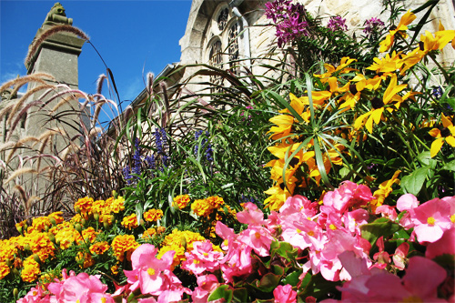 Photographie de l'église