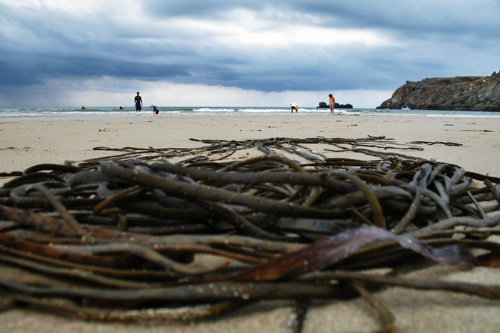 Le FINISTÈRE en image