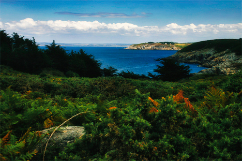 Photo de la flore de Bretagne